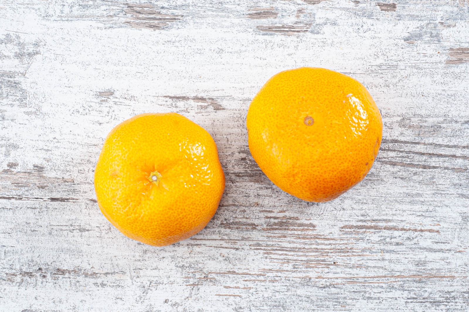 Satsuma Millbank Farm