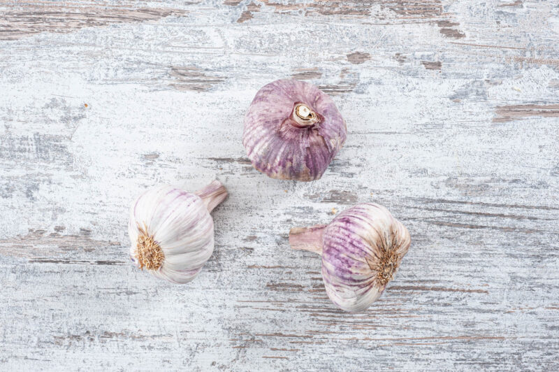 Violet garlic