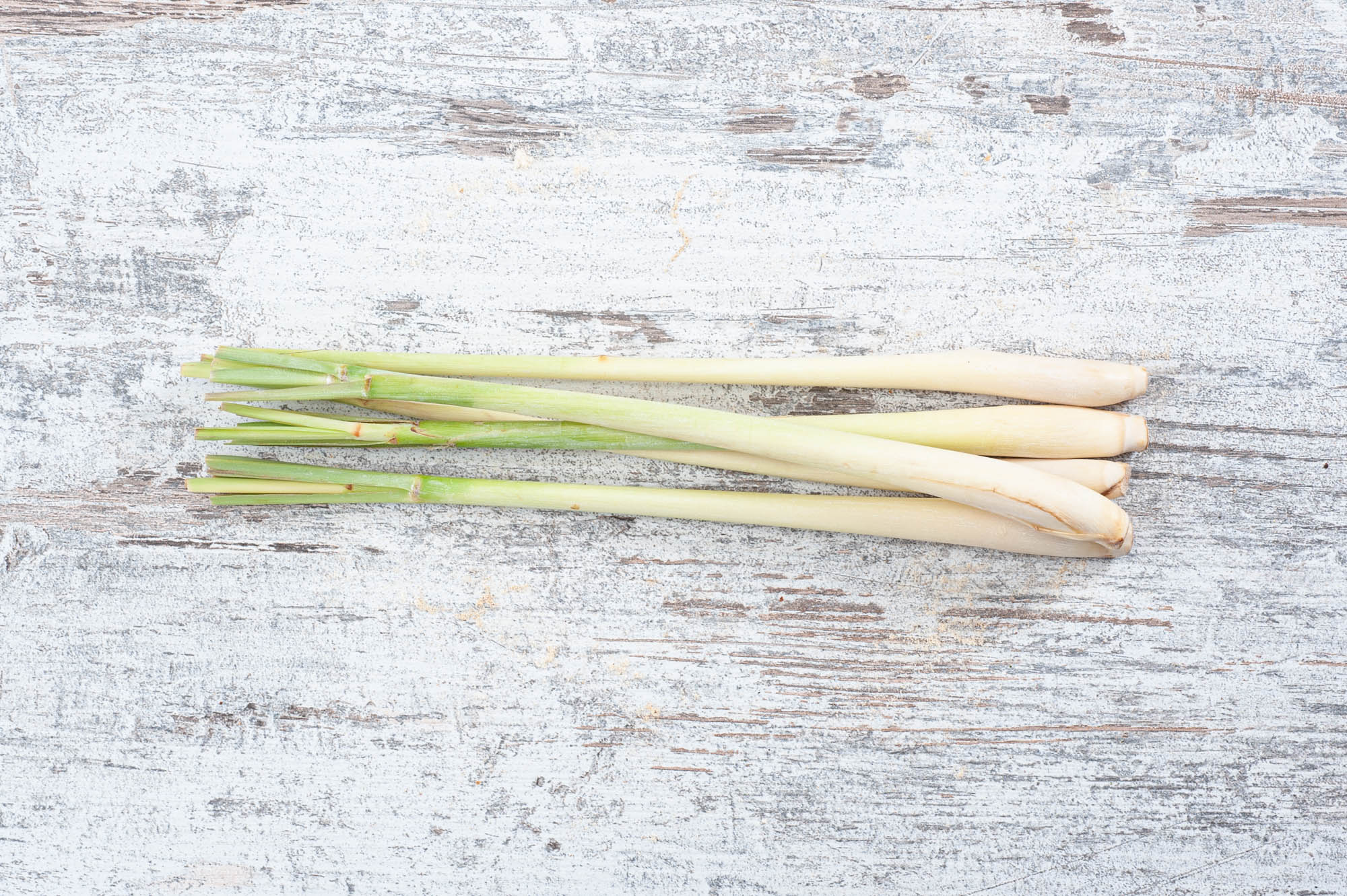 lemon grass fresh herb