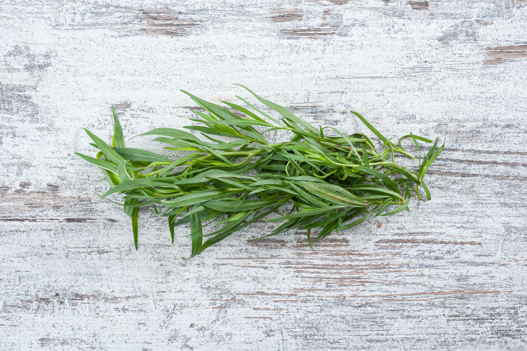 Lemon Grass Millbank Farm