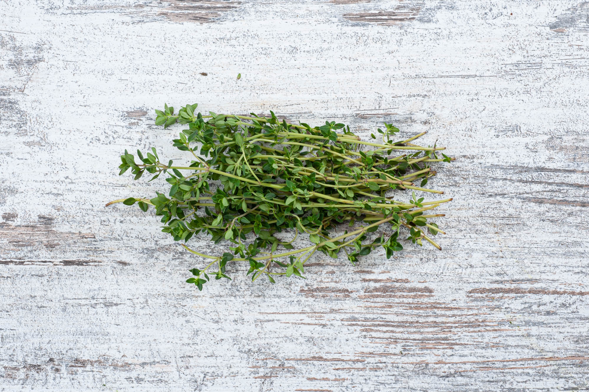 thyme fresh herb