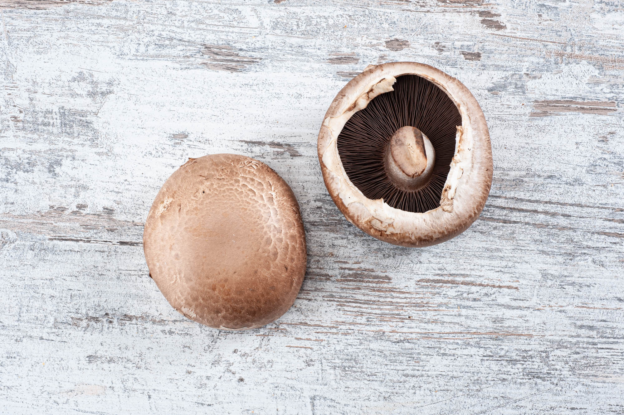 Portabello mushroom
