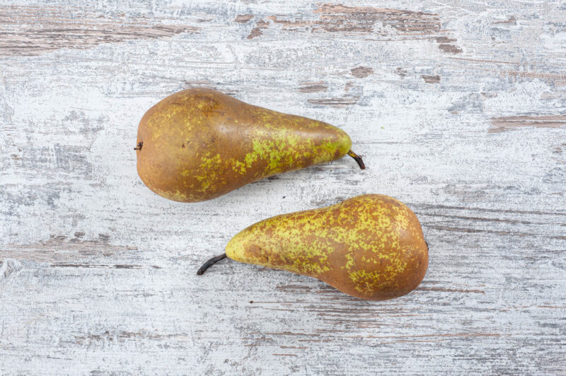 Conference pear