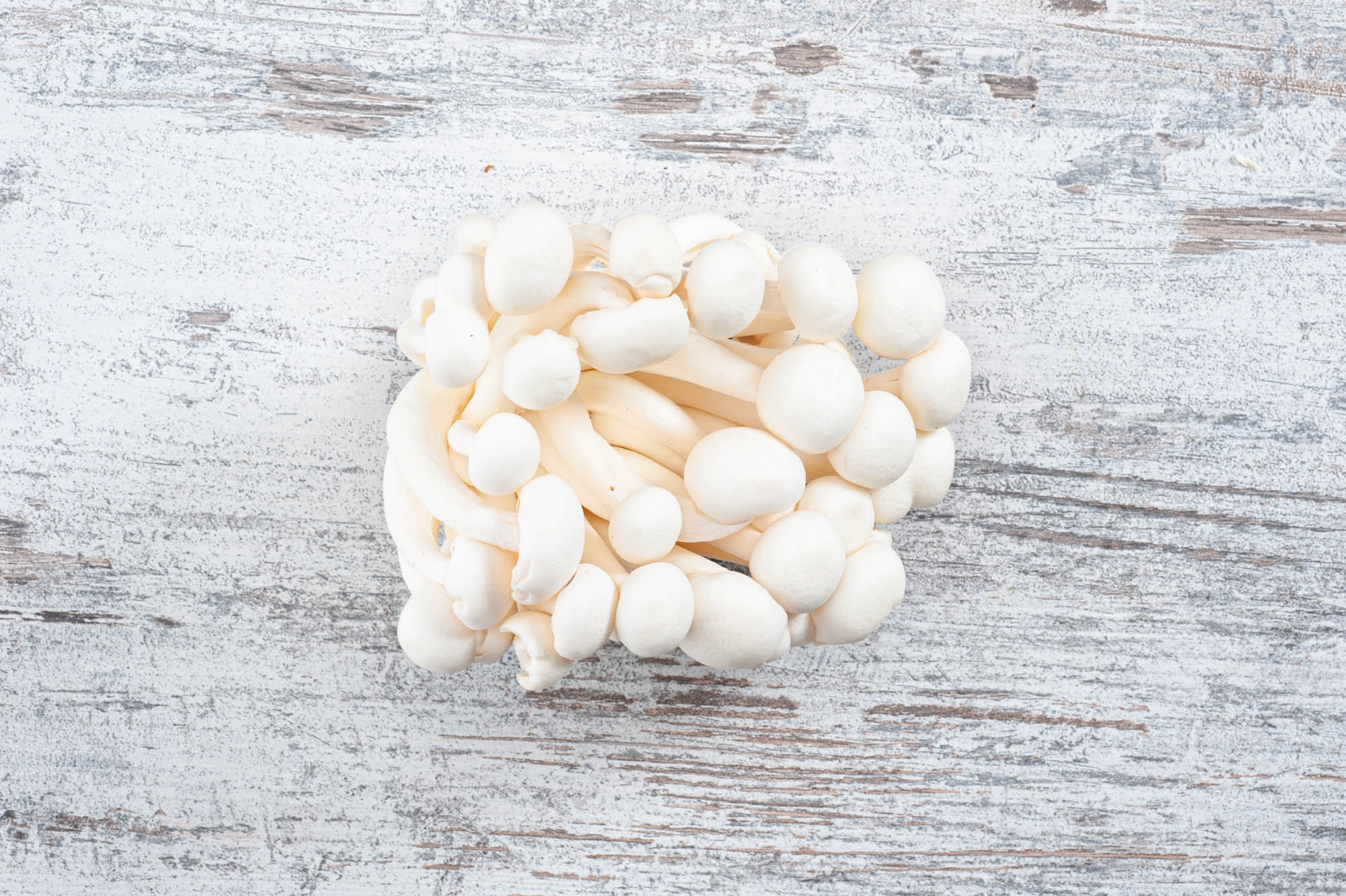 Enoki mushroom