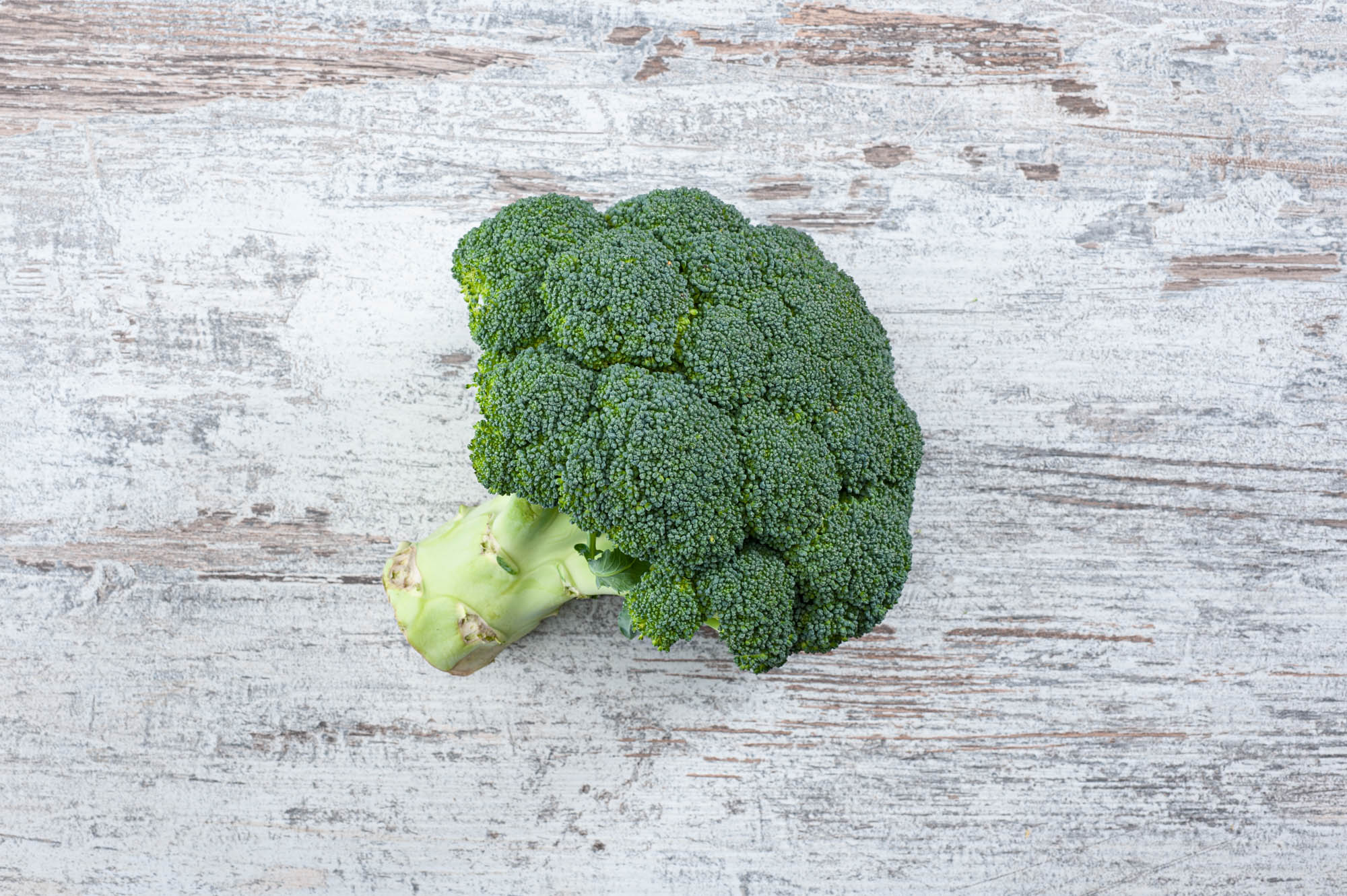 Broccoli