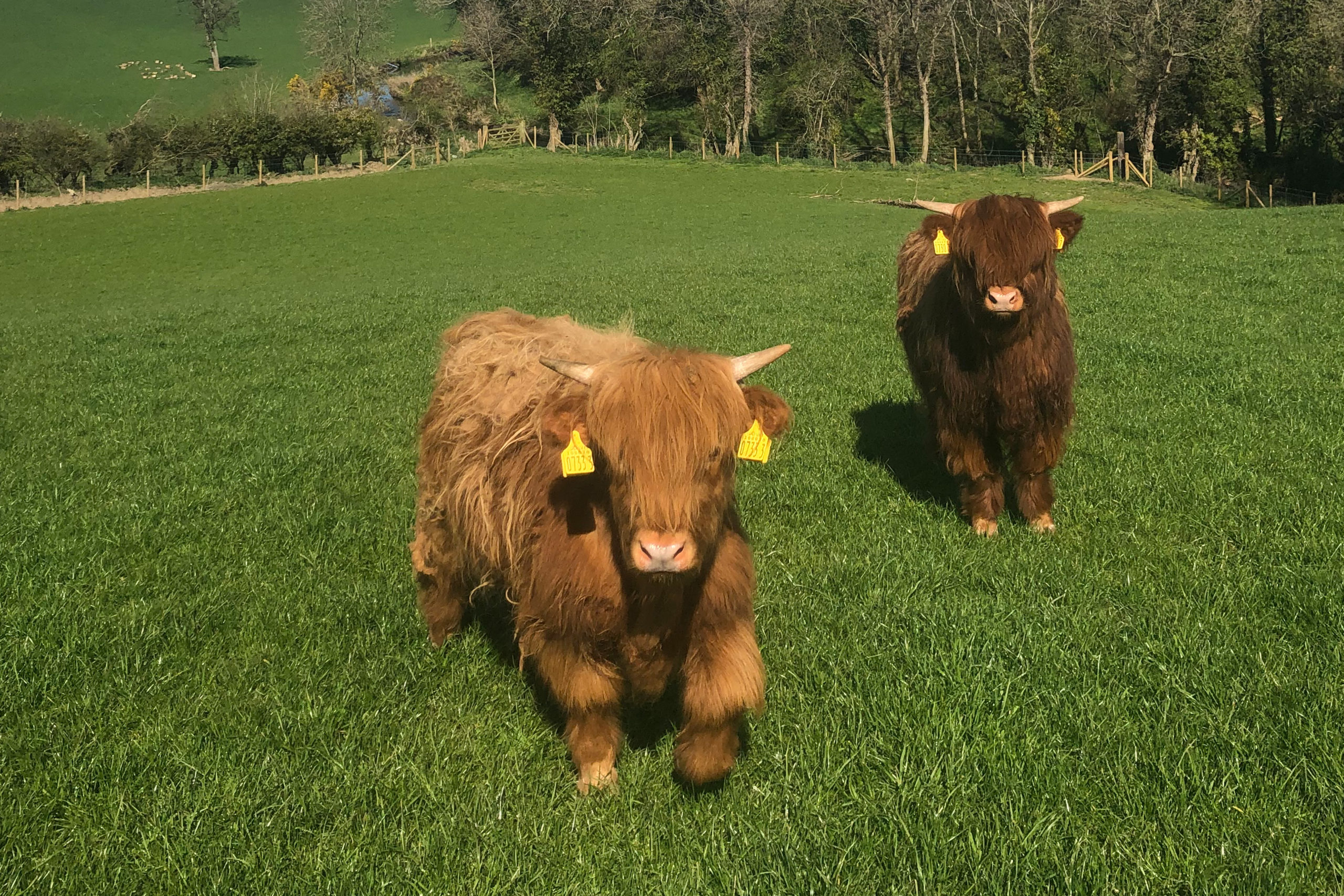 Our Farm — Millbank Farm