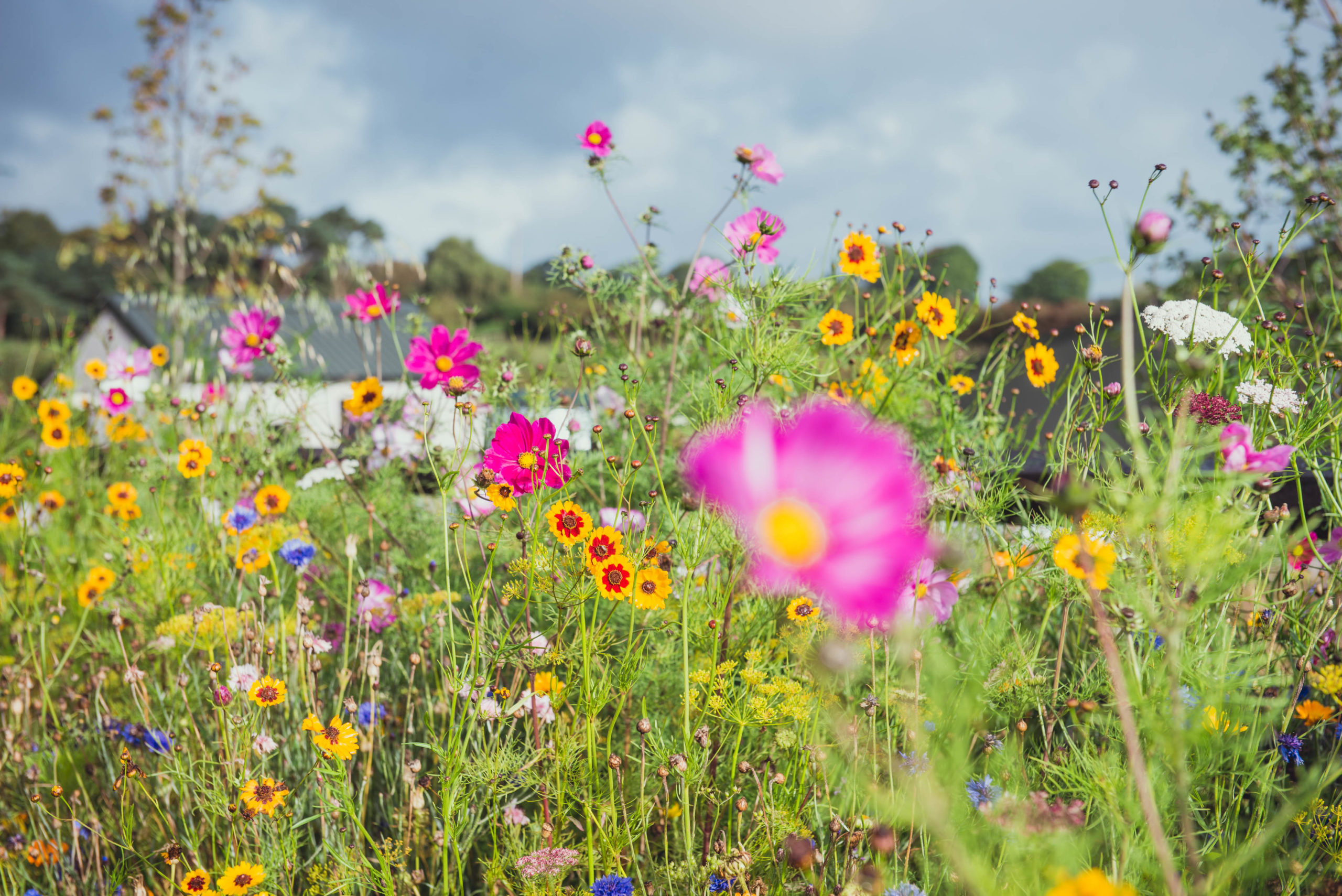 Our Farm — Millbank Farm