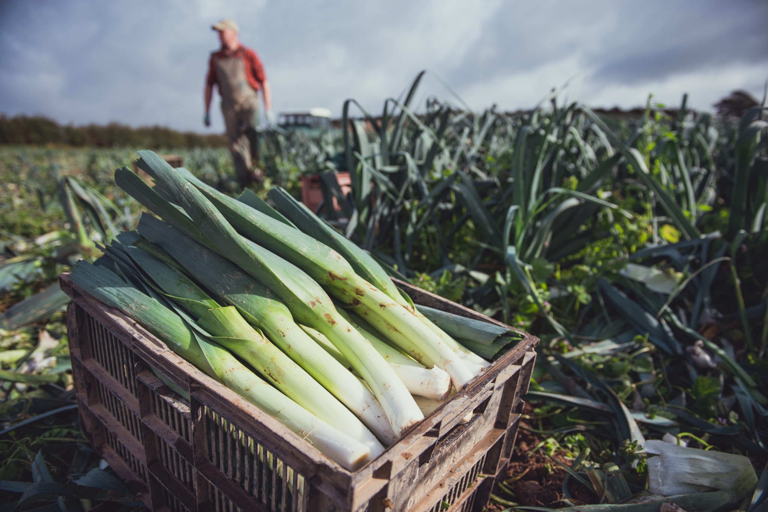 Farm shop — Millbank Farm