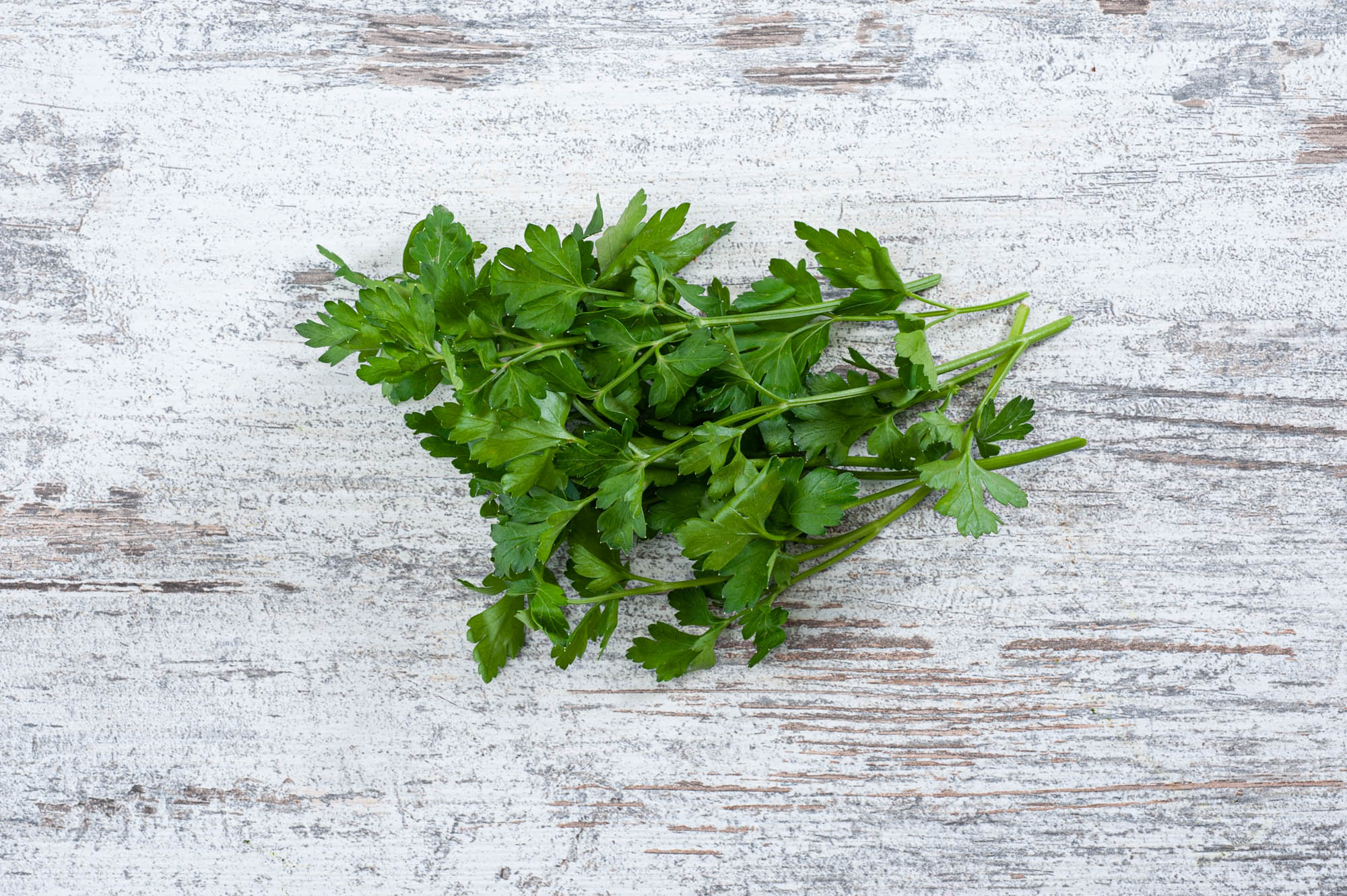 flat leaf parsley