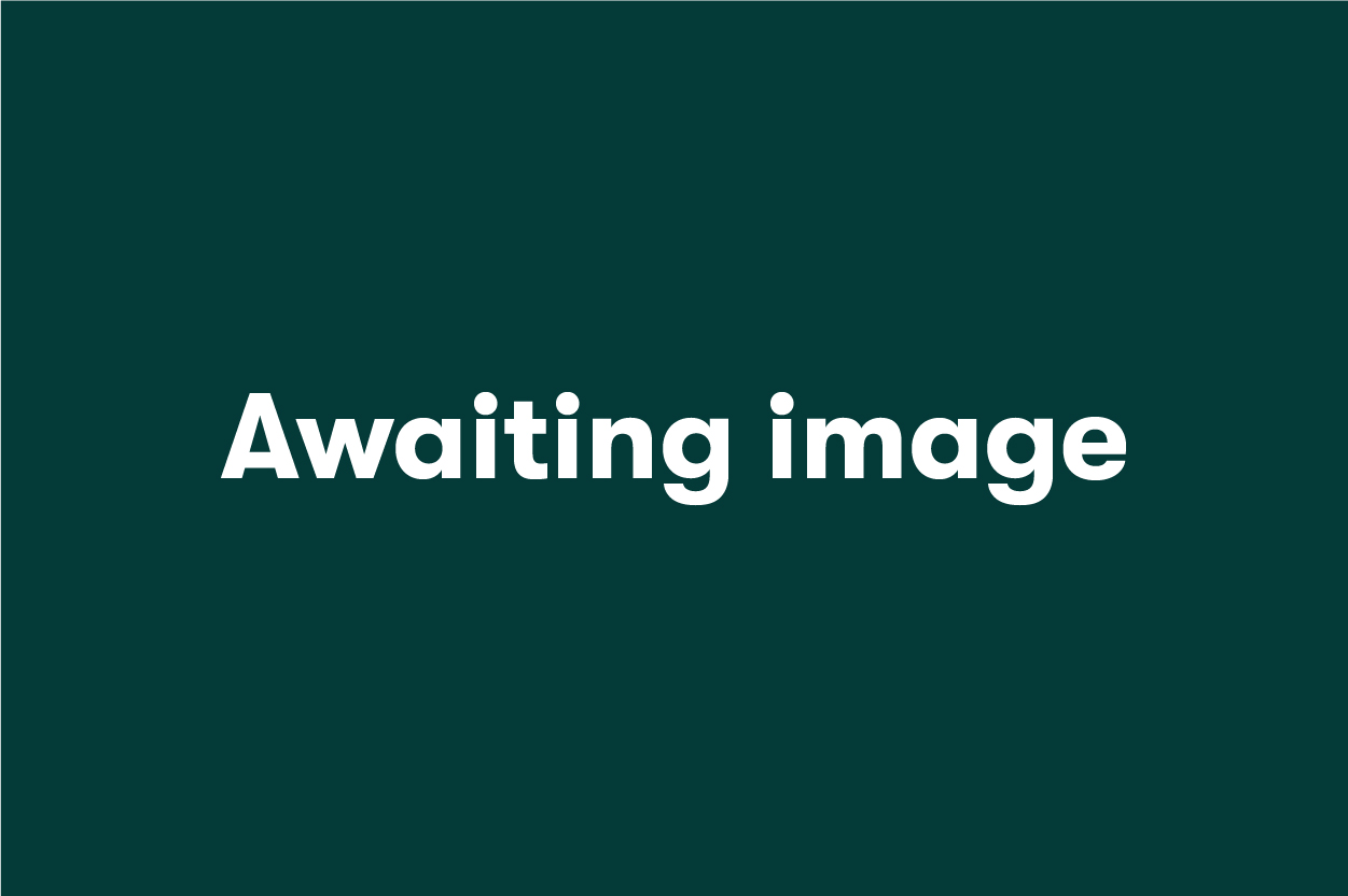 awaiting image default