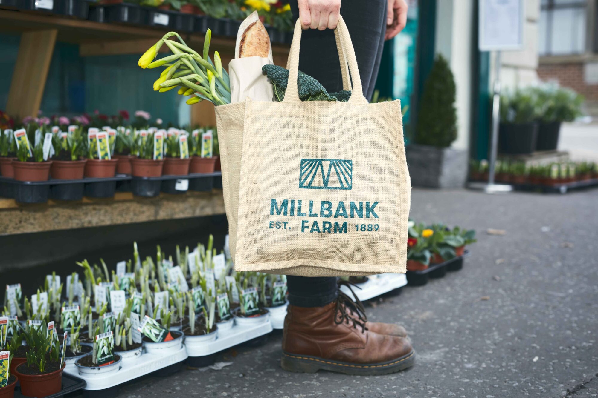 Home — Millbank Farm