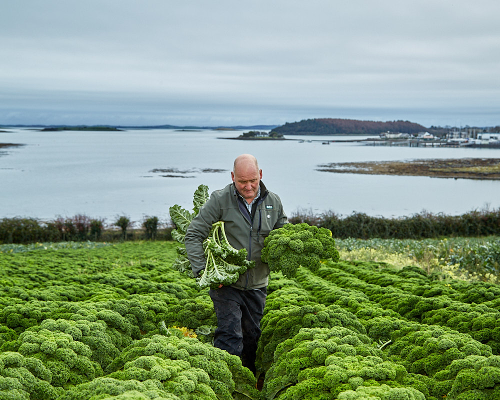 Home — Millbank Farm