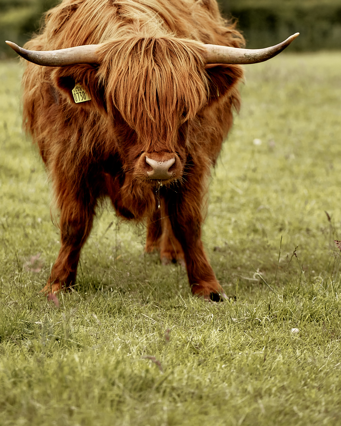 Our Farm — Millbank Farm